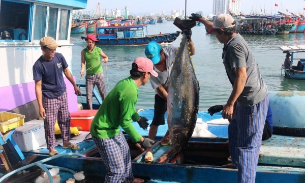 Remove the EC yellow card: Fishermen must stop violating foreign waters